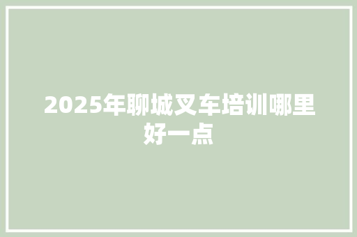 2025年聊城叉车培训哪里好一点