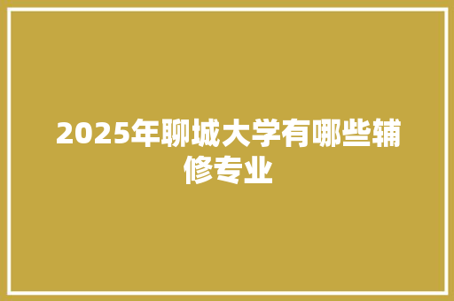 2025年聊城大学有哪些辅修专业