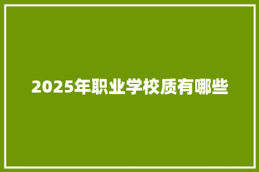 2025年职业学校质有哪些