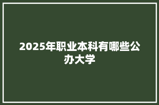 2025年职业本科有哪些公办大学