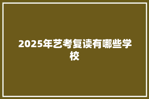 2025年艺考复读有哪些学校