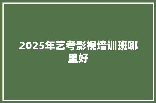 2025年艺考影视培训班哪里好 未命名