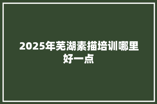 2025年芜湖素描培训哪里好一点