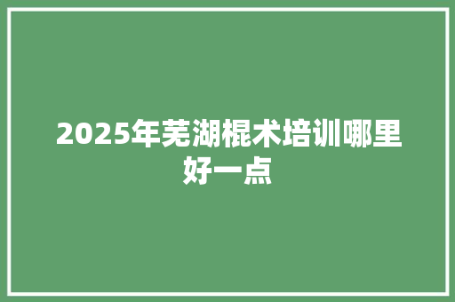 2025年芜湖棍术培训哪里好一点