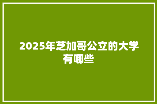 2025年芝加哥公立的大学有哪些