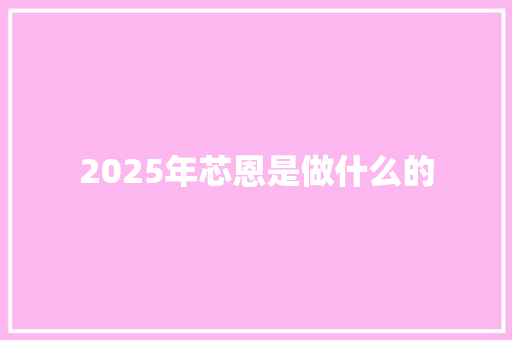 2025年芯恩是做什么的