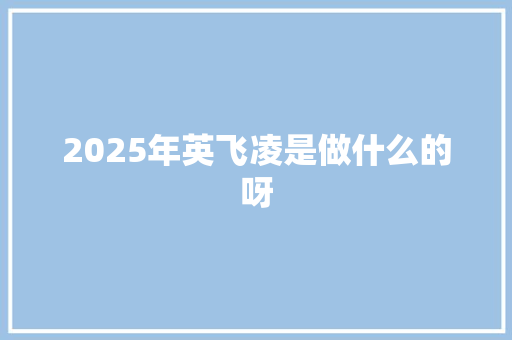 2025年英飞凌是做什么的呀