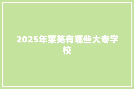 2025年莱芜有哪些大专学校