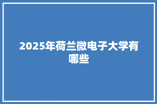 2025年荷兰微电子大学有哪些