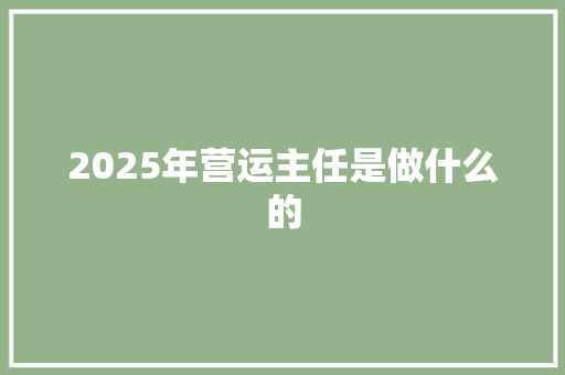 2025年营运主任是做什么的