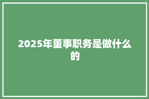 2025年董事职务是做什么的