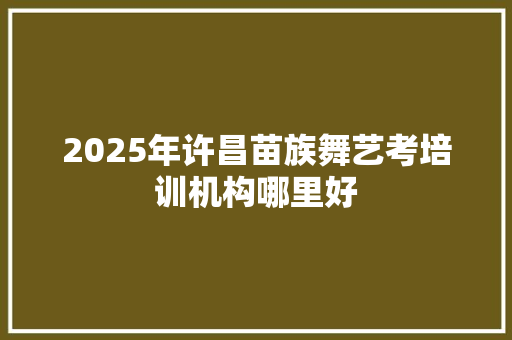 2025年许昌苗族舞艺考培训机构哪里好