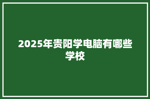 2025年贵阳学电脑有哪些学校