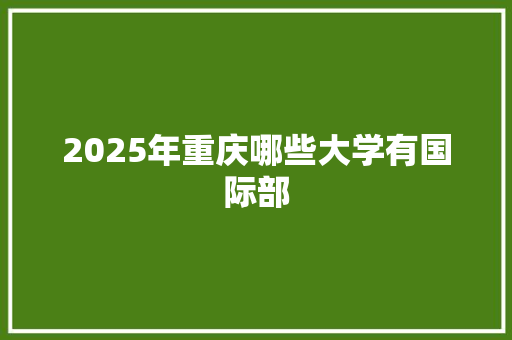 2025年重庆哪些大学有国际部