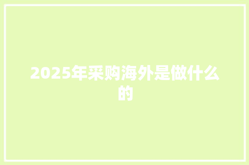 2025年采购海外是做什么的