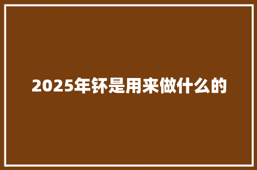 2025年钚是用来做什么的 未命名