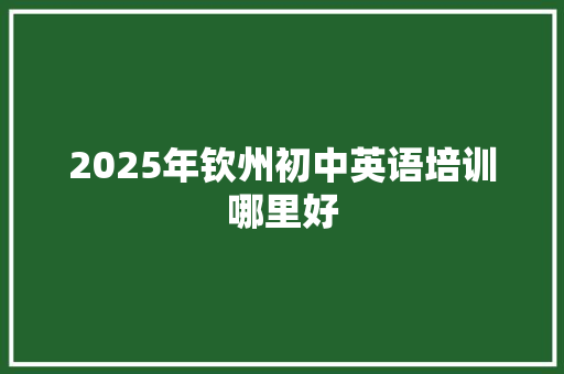 2025年钦州初中英语培训哪里好