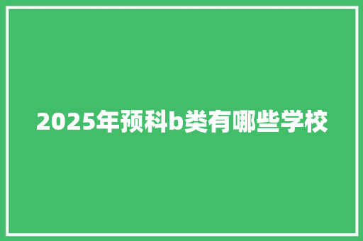 2025年预科b类有哪些学校