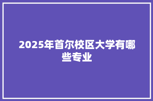 2025年首尔校区大学有哪些专业 未命名