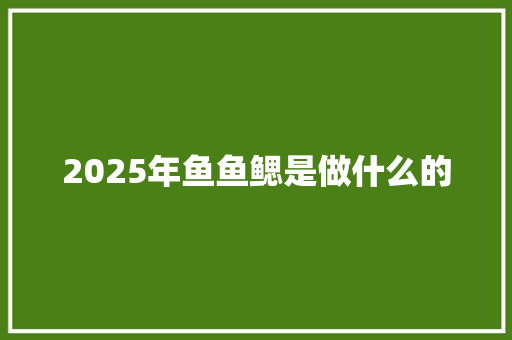 2025年鱼鱼鳃是做什么的