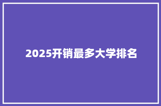 2025开销最多大学排名 未命名