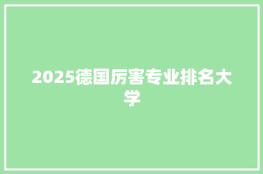 2025德国厉害专业排名大学