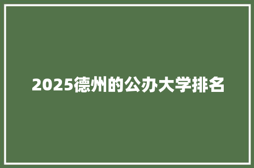 2025德州的公办大学排名