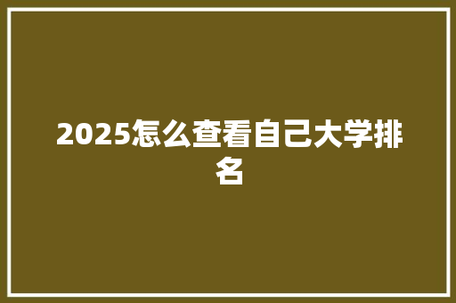 2025怎么查看自己大学排名 未命名