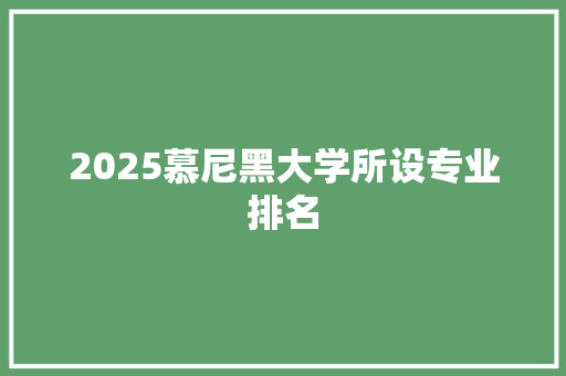 2025慕尼黑大学所设专业排名