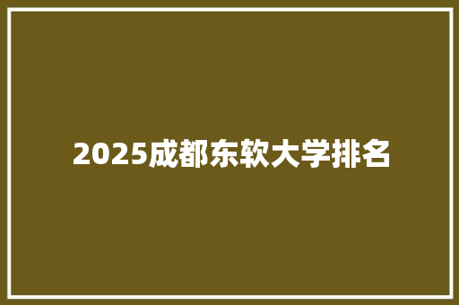 2025成都东软大学排名