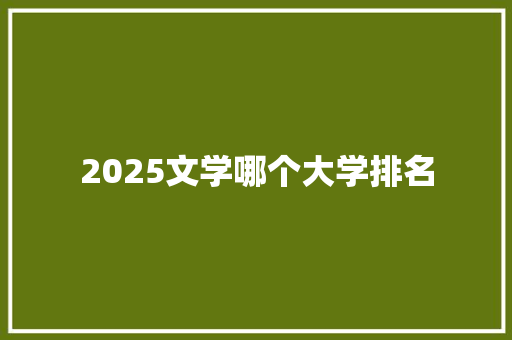 2025文学哪个大学排名