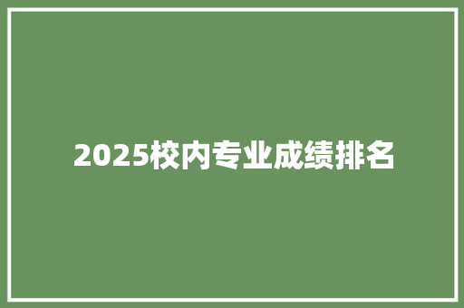 2025校内专业成绩排名