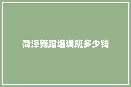 菏泽舞蹈培训班多少钱 论文范文