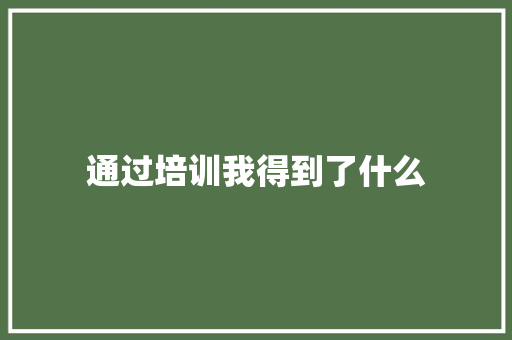 通过培训我得到了什么 职场范文