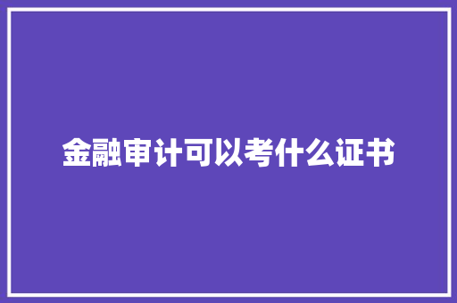 金融审计可以考什么证书