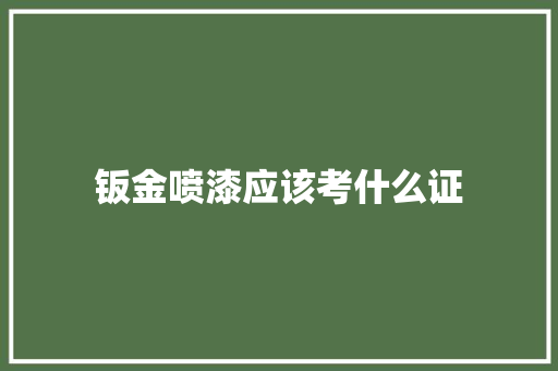 钣金喷漆应该考什么证