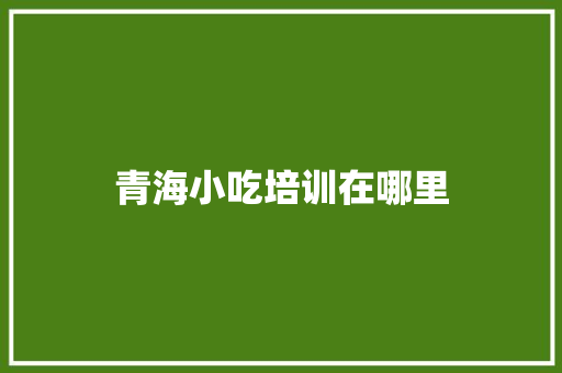 青海小吃培训在哪里