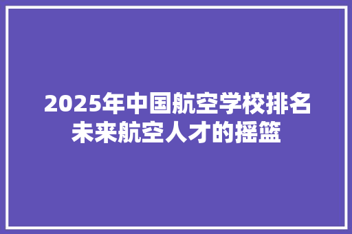 2025年中国航空学校排名未来航空人才的摇篮 综述范文