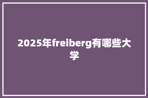 2025年freiberg有哪些大学