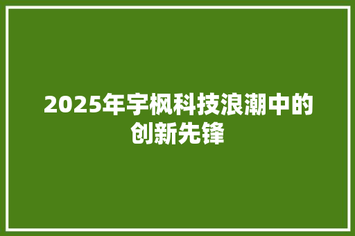 2025年宇枫科技浪潮中的创新先锋