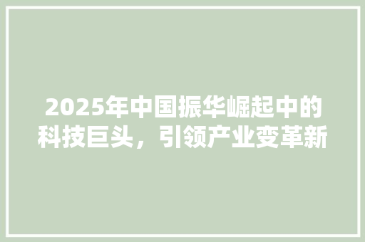 2025年中国振华崛起中的科技巨头，引领产业变革新篇章