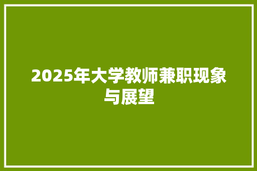 2025年大学教师兼职现象与展望