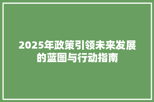 2025年政策引领未来发展的蓝图与行动指南 综述范文