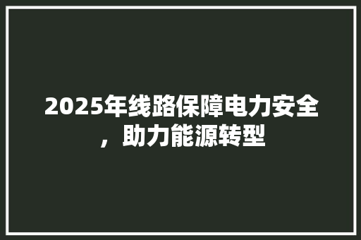 2025年线路保障电力安全，助力能源转型