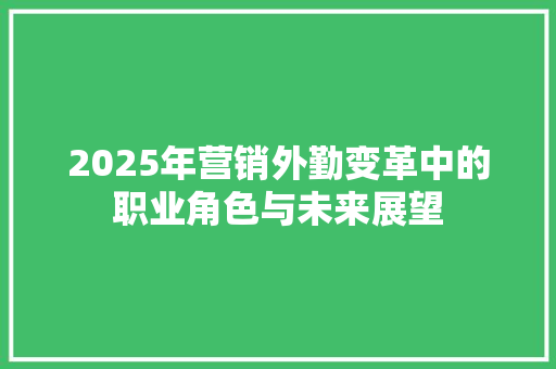 2025年营销外勤变革中的职业角色与未来展望 论文范文