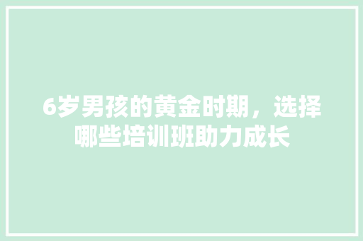 6岁男孩的黄金时期，选择哪些培训班助力成长