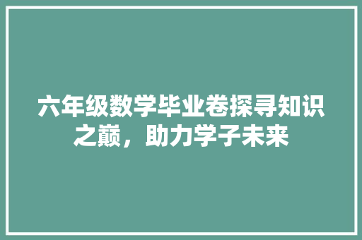 六年级数学毕业卷探寻知识之巅，助力学子未来