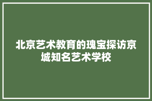 北京艺术教育的瑰宝探访京城知名艺术学校 商务邮件范文