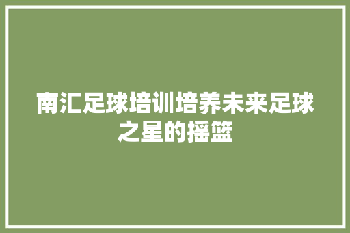 南汇足球培训培养未来足球之星的摇篮 商务邮件范文