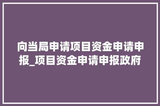 向当局申请项目资金申请申报_项目资金申请申报政府资金支持包括无偿补助转贷和贷款贴息